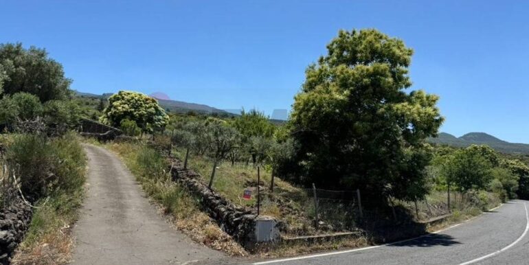 20241112114024-902431-45