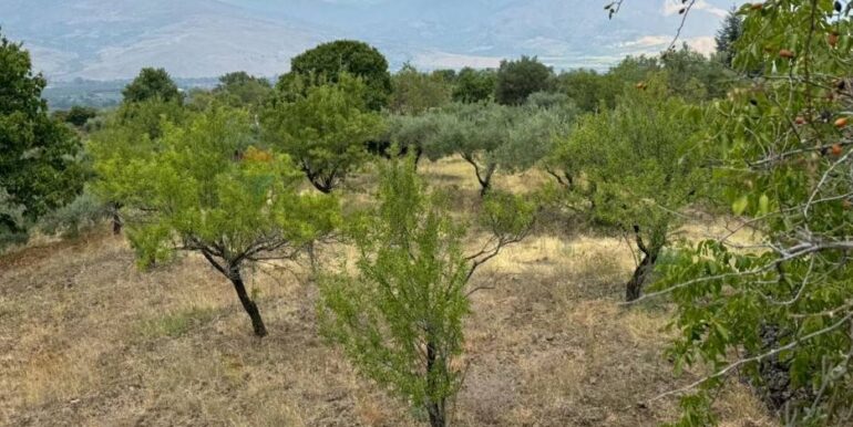 20241112114042-902431-46