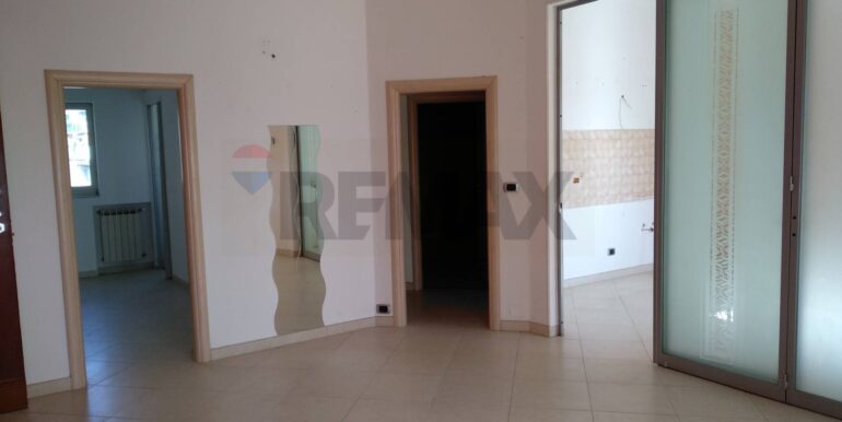 20241112175509-903325-2