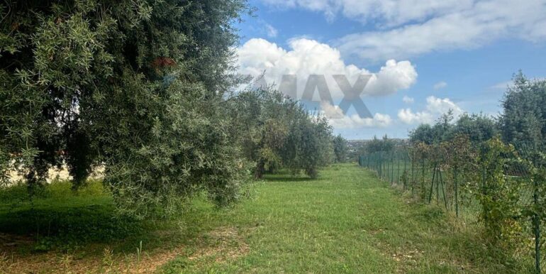 20241117203019-903643-7