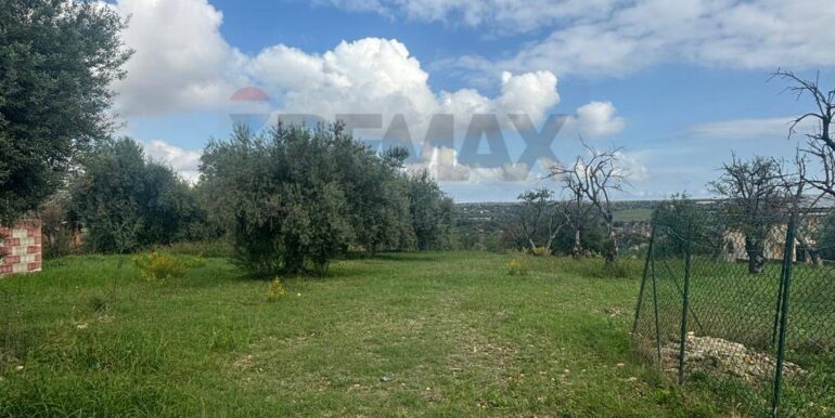 20241117203023-903643-9