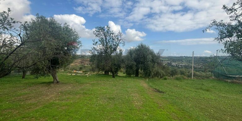 20241117203025-903643-10