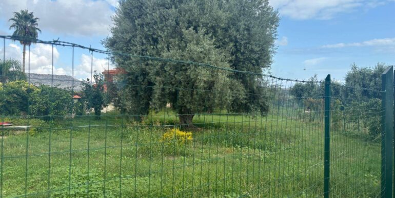 20241117203029-903643-12