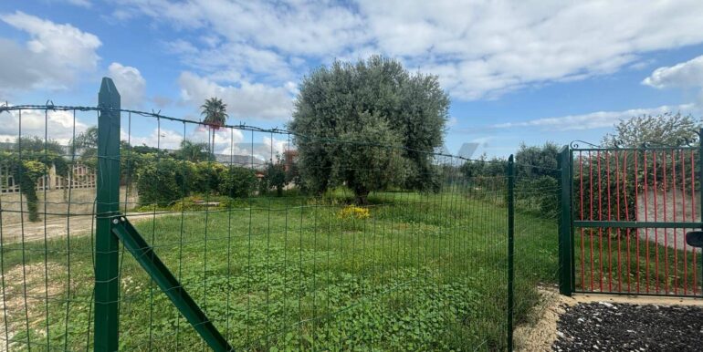 20241117203031-903643-13