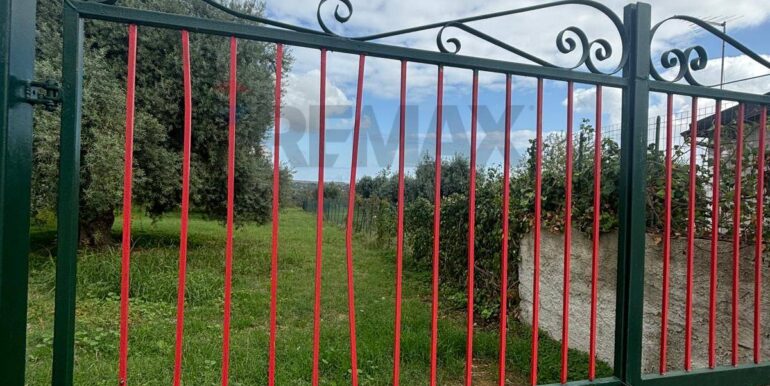 20241117203033-903643-14