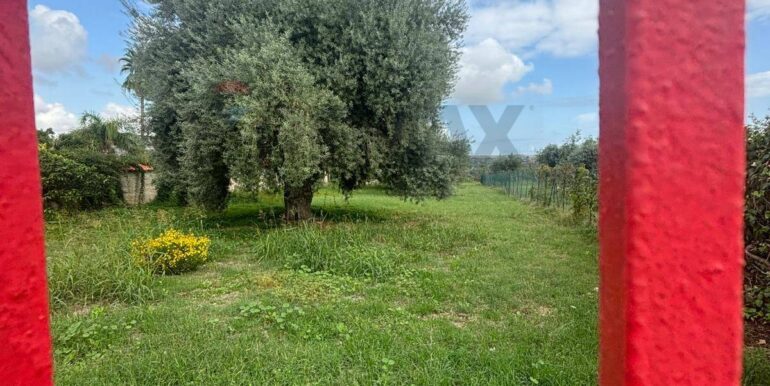 20241117203034-903643-15