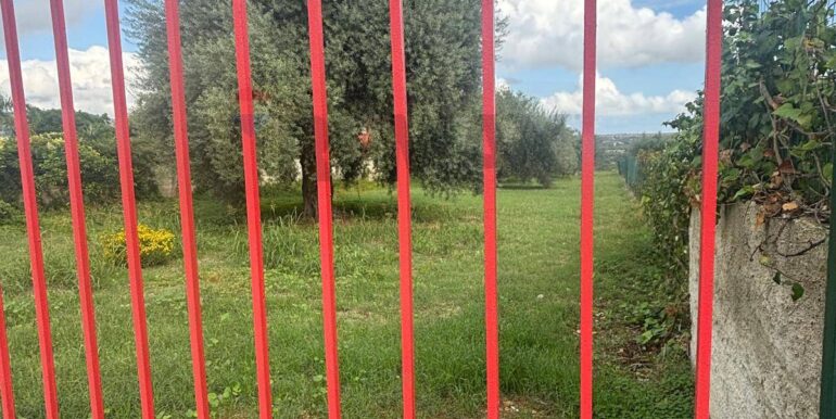 20241117203036-903643-16