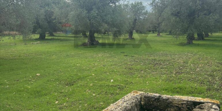 20241118115342-904412-1