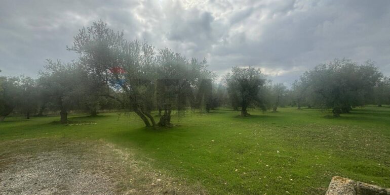 20241118115344-904412-2