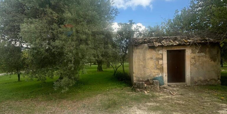 20241118115350-904412-6