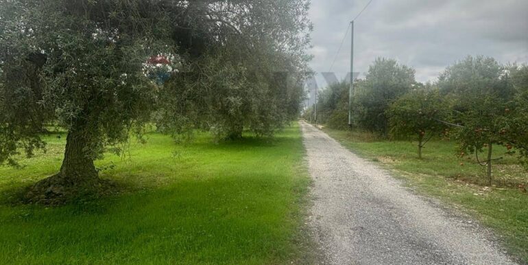 20241118115354-904412-8