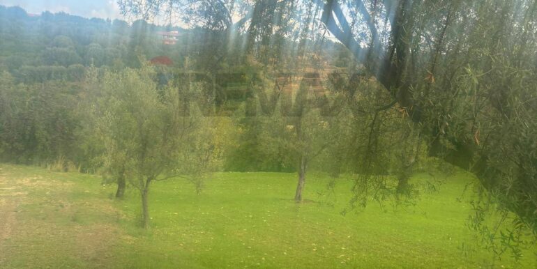 20241118115358-904412-11