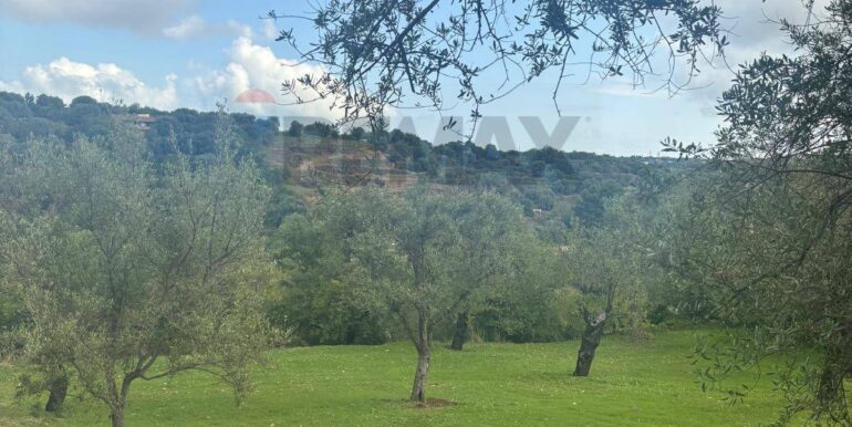 20241118115400-904412-12