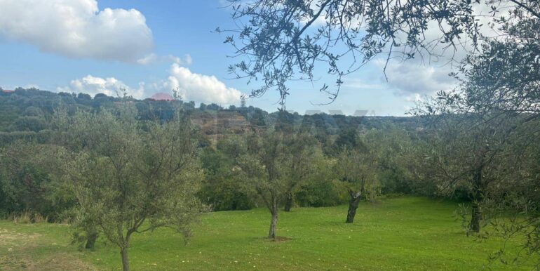 20241118115404-904412-14