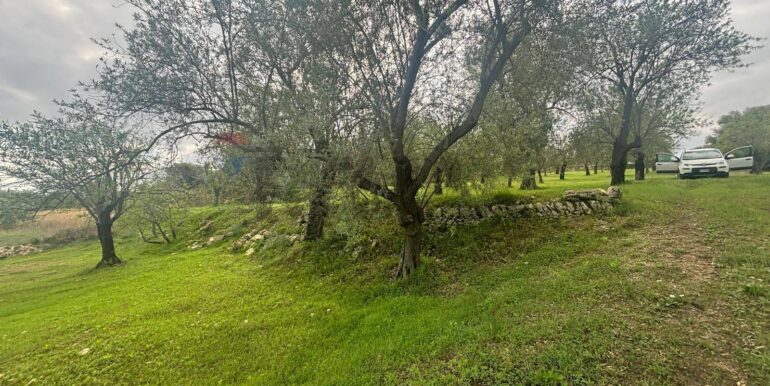 20241118115406-904412-15