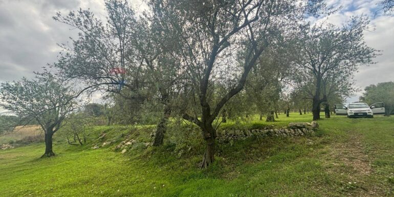 20241118115408-904412-16