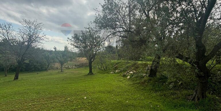 20241118115410-904412-17