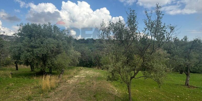 20241118115412-904412-18