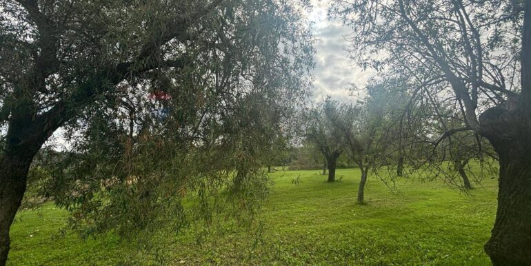 20241118115413-904412-19