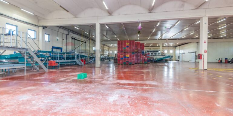 20241122104302-902999-20