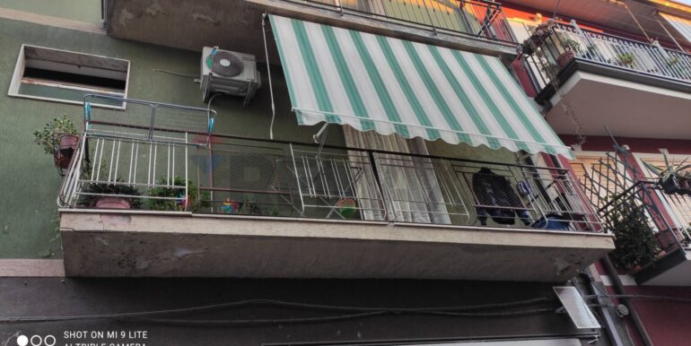 20241127195343-906883-2