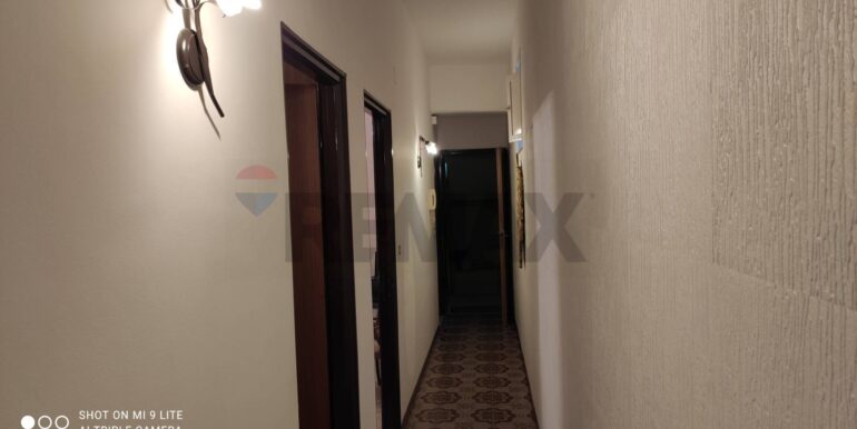 20241127195344-906883-3