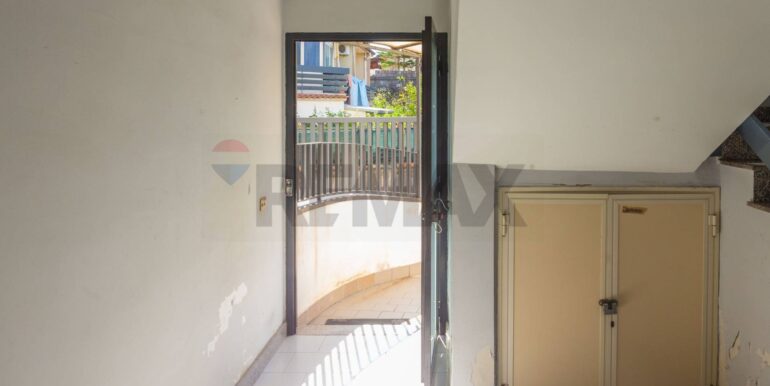 20241202125116-907201-7