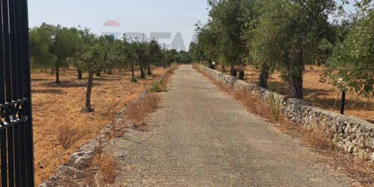 20241206113758-910057-1