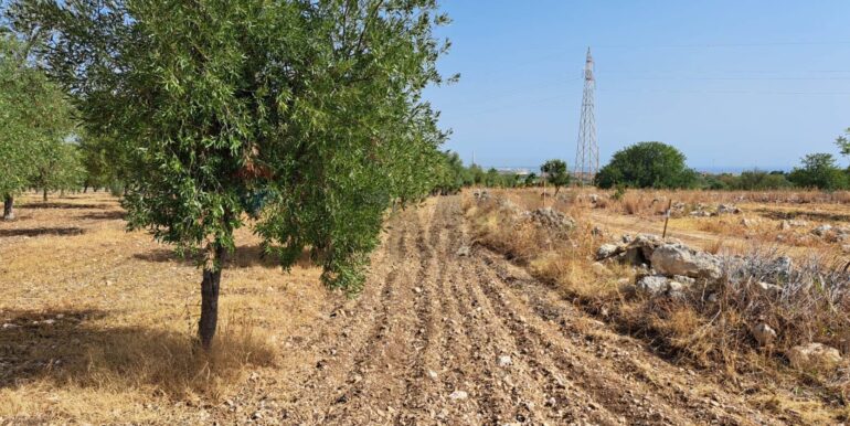 20241206113801-910057-3