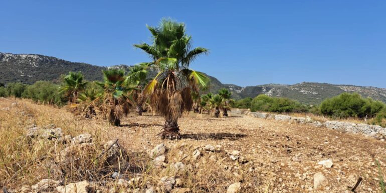 20241206113813-910057-11