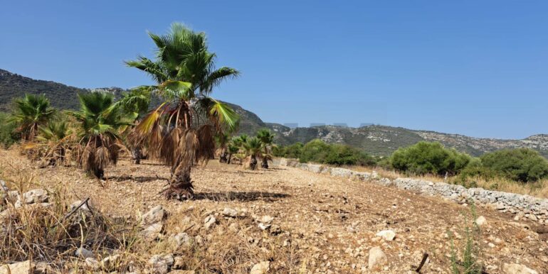 20241206113815-910057-12