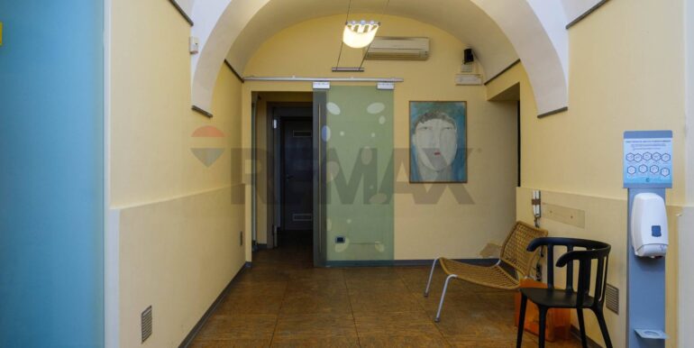 20241206151327-910123-3