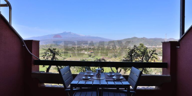 20241212120201-906575-23