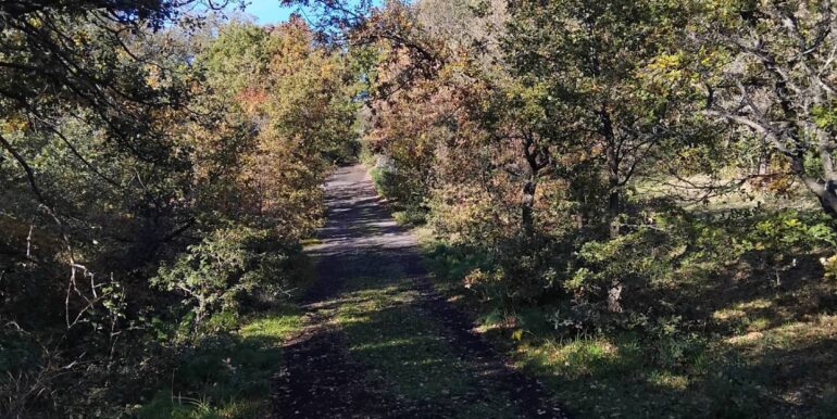 2024123092526-914806-1