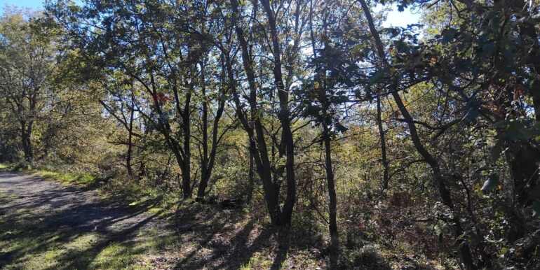 2024123092533-914806-2