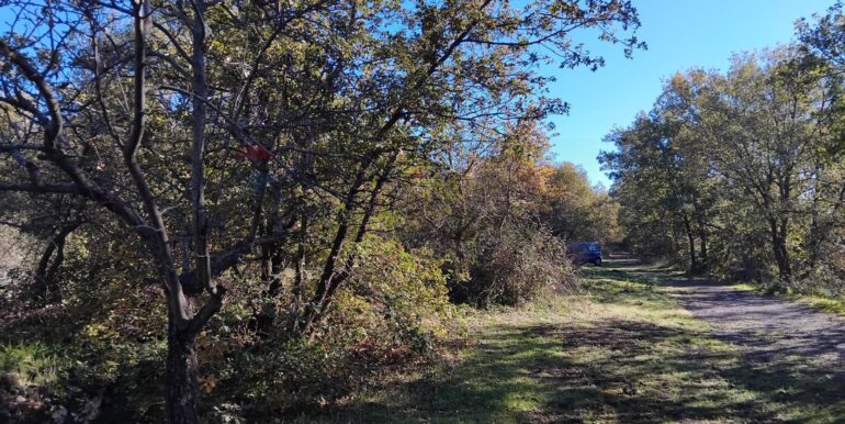 2024123092540-914806-3