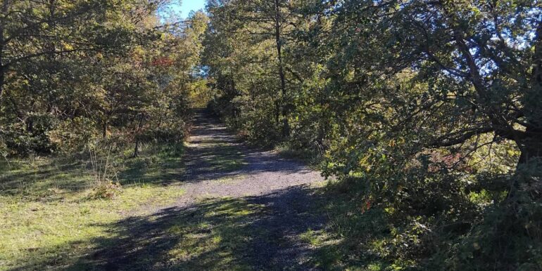 2024123092546-914806-4