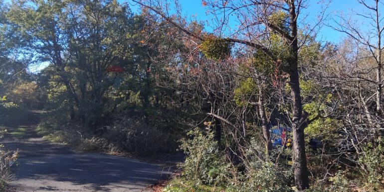 2024123092552-914806-5