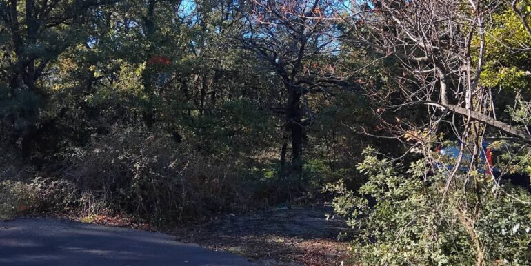 2024123092600-914806-6