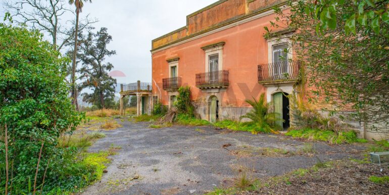 20250113123331-919196-41