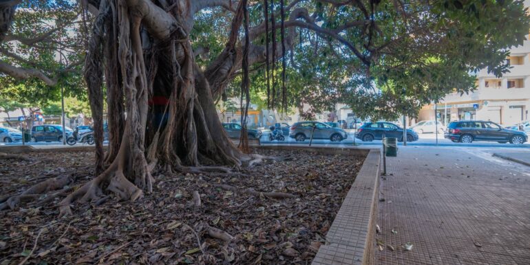 20250115111210-818770-3