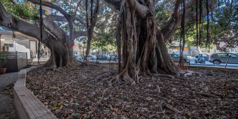 20250115111237-818770-12