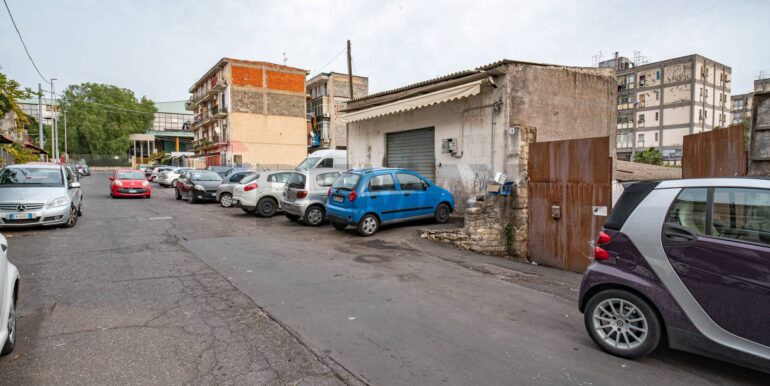 20250115191544-919923-4