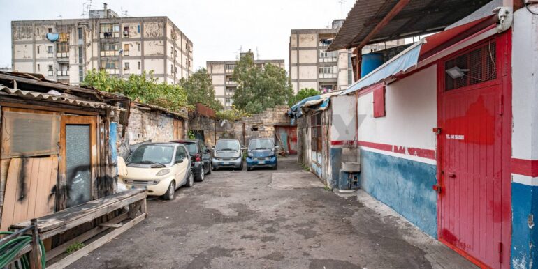 20250115191545-919923-9