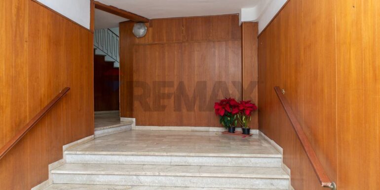 20250116135506-920029-9