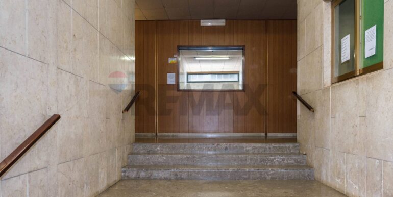 20250116183303-919510-4