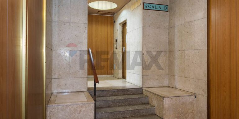 20250116183305-919510-5