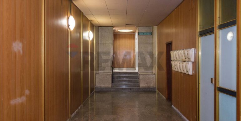 20250116183306-919510-6