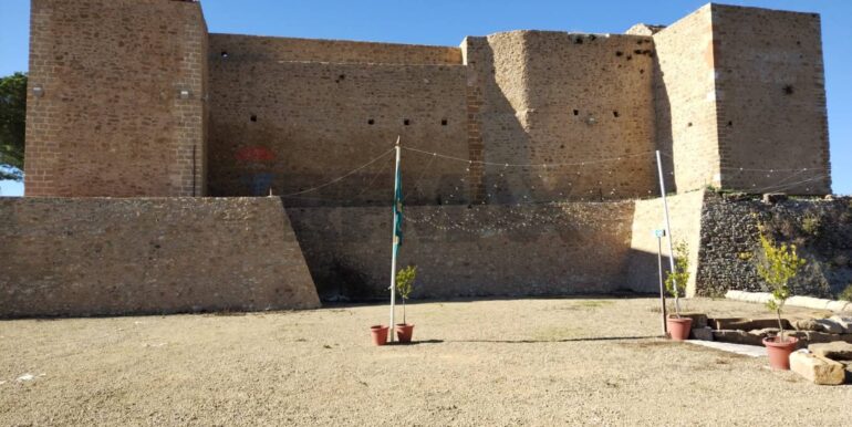 20250120233618-920146-12