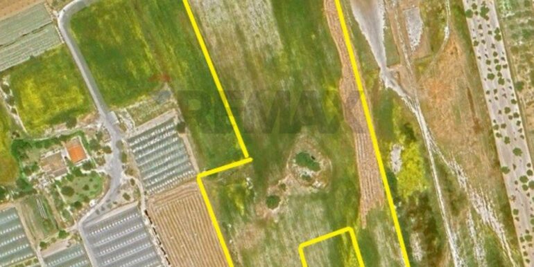 20250121190803-921244-1